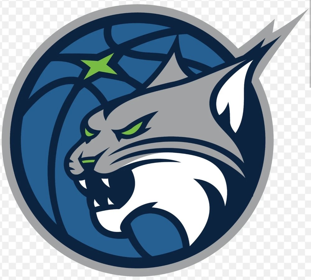 MINNESOTA LYNX WNBA IRON ON PATCH 3&Prime; X 2.75&Prime; FAST FREE SHIPPING