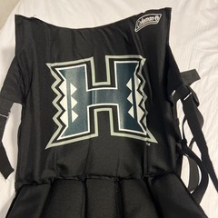 University Of Hawaii Stadium Chair Seat Black Portable Rainbow Warriors