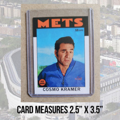 Seinfeld George Costanza and Kramer Retro Style Baseball Card NY Parody Art ACEO