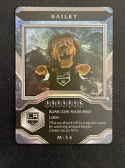 21-22 UD MVP Hockey Mascots M-14 Bailey