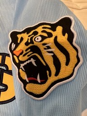 NEW MIZUNO Japan NPB HANSHIN TIGERS Baseball Jersey Sky Blue #2 Umeno XL