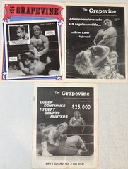 Lot of 18 Vintage « The Grapevine » Vol. 9 Florida Wrestling Programs (1986) RARE!
