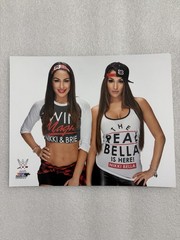 WWE Bella Twins Nikki & Brie Officially Licensed 8×10 Photo Prints Lot Of 3