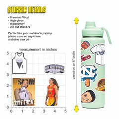 Gabby Williams Golden State Valkyries WNBA Stickers Set of 12 Waterproof Vinyl