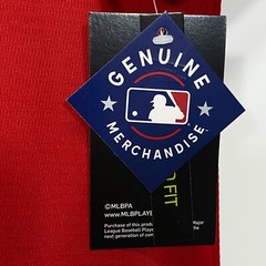 Ozzie/#1/Albies/Braves/Stitched/Jersey/Red/S/M/L/XL/2XL/3XL