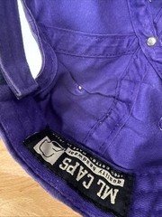 UAlbany Great Danes Hat Purple Adjustable Snapback Cap ML Caps University Albany