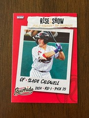 2025 Visalia Rawhide Rise to the Show Top Prospects You Pick
