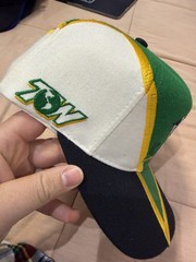 Vintage NCAA Notre Dame Fighting Irish Top of the World Bolt Snapback Hat