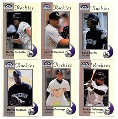 1994 Colorado Rockies Police Safety Cards Lot 20 Diff x 12 + 72 = 312 Cards