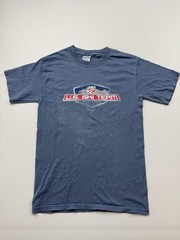 U.S. Ski Team Shirt Mens Small Blue Freestyle Skiing Gildan Graphic Tee 2007