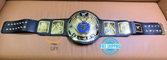 Big Eagle Attitude Era Championship Replica Tittle Belt ADULT Size Brass 2MM NEW