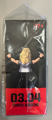🎤🔥 WWE SLAM CRATE Slam Stars Series 3 – Chris Jericho Action Figure (2019)