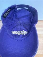 UAlbany Great Danes Hat Purple Adjustable Snapback Cap ML Caps University Albany