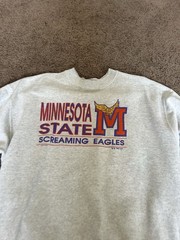 Vintage Minnesota State Screaming Eagles Fruit Of The Loom Crewneck(Fits Like L)