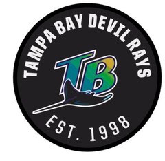 Tampa Bay Rays MLB Baseball Sticker Decal S282