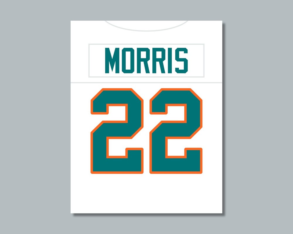 compare to MERCURY MORRIS Football Photo Picture / 8×10 11×14 or 16×20 (JZ)