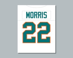 compare to MERCURY MORRIS Football Photo Picture – 8×10 11×14 or 16×20 (JZ)