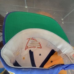 St. Louis Blues Vintage American Needle snapback hat NHL Big Logo wool100%