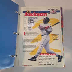 1994 Sports Heroes Feats & Facts NFL FOOTBALL Collection 173 Pages with BINDER