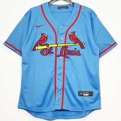 Cardinals, Baseball Jersey, Blank, Stitched, Blue, S/M/L/XL/2XL/3XL
