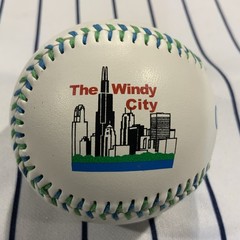 Chicago Illinois Windy City My Kind Of Town White Matte Souvenir Baseball Ball