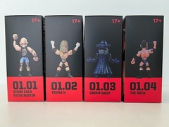 WWE Slam Stars Series 1 Set (4 Figures) | Loot Crate WWE Slam Crate Exclusive
