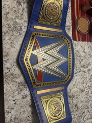 Mattel 2017 WWE Wrestling Belt