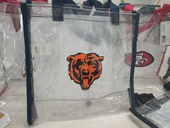 NFL Foco Detroit Lions Clear Reusable Bag 12 X 12 X 6