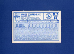 #10 JIM RICE, Red Sox HOF 1976 Kelloggs 3-D no cracks 1st Kellogg ~ 2nd Year N4