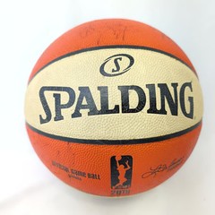 Phoenix Mercury 2016 Team Signed Basketball Spalding WNBA Official Game Ball