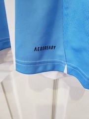 Adidas Men&rsquo;s Argentina 2024 Messi 10 Home Jersey AFA Copa America Men Sz L FIFA
