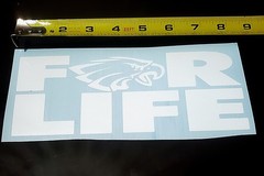 Philadelphia Eagles Decal Sticker