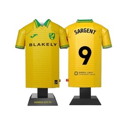 Norwich City Metal Football Shirt Personalised 2025-26 Home Kit Alloy Shirt