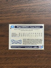 2018 Diego Castillo Grandstand Minor League Rookie Card Tampa Tarpons #2