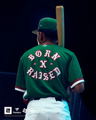 NIKE MEXICO BORN X RAISED World Baseball Classic 2026 ON THE TURF GREEN Jersey