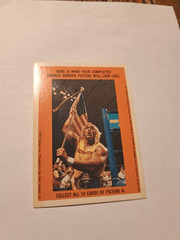 1987 WWF Hulk Hogan Sticker Trading Card Titan Sports Inc Steve Taylor Photo