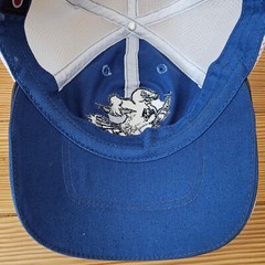 Air Force Falcon Sports Hat, Adj Strapback Mesh Cap, Unisex Adult, One Size
