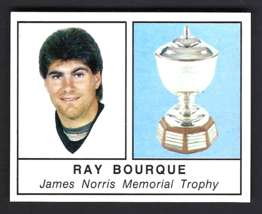 1988-89 Panini Ray Bourque Sticker #204