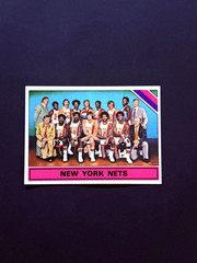 1975-76 Topps Basketball #325 New York Nets Julius Erving NM