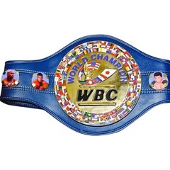 WBC Belt Boxing Championship Replica Belt Adult Size Hight Quality Leather