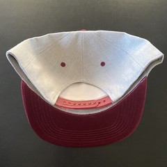 Vintage Throwback Washington Redskins Embroidered Logo Snapback Cap Hat NEW NWT