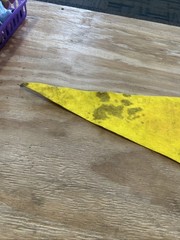 1973 USC Trojans Full Size Rose Bowl Pennant – University of Southern California