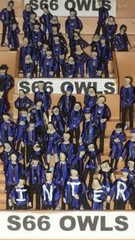FOR SUBBUTEO 100 PAINTED STANDING FANS**NEW**ALL TEAMS AVAILABLE