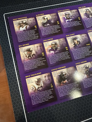 🏈 2005 Star Tribune Minnesota Vikings Medallion Collection – 22 Complete 🏈