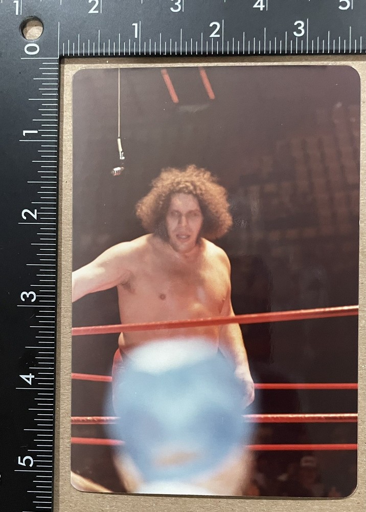 ANDRE THE GIANT Original Photograph Snapshot 1980s. Type 1