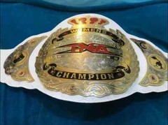 TNA WOMENS WRESTLING CHAMPIONSHIP BELT ADULT SIZE 2mm