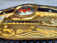 Dome Globe World Heavyweight Championship Belt 3D Replica HQ CNC 5MM Zinc Plates