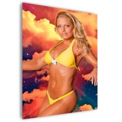 TRISH STRATUS WWE Wrestling Model Diva Belles #1/7 ACEO Art Print Card by RoStar