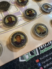 🏈 2005 Star Tribune Minnesota Vikings Medallion Collection – 22 Complete 🏈