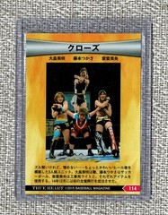 2015 BBM True Heart Wrestling Card 114 Mio Shirai Tsukasa Fujimoto Misaki Ohata